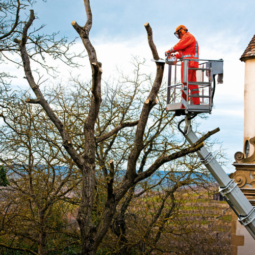 STIHL MS 201 TC-M - Image 3